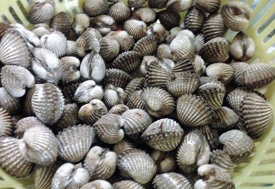 Lai rai sò huyết cháy tỏi ngon quên sầu - 2