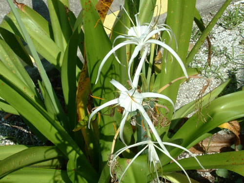 Có nên tập thể dục khi mắc u nang buồng trứng? - 2