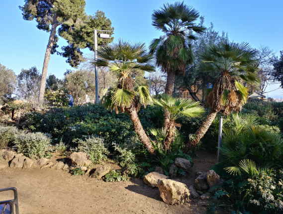 Dàn smartphone "khủng" nhất đọ camera - 2