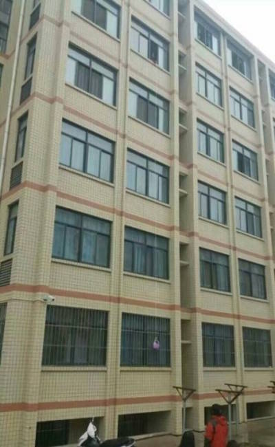 Nữ “thánh lười” dùng ga giường kéo đồ ăn từ đất lên tầng 6 - 3