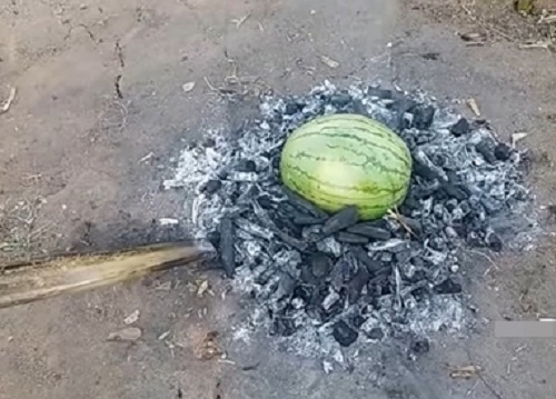 Đứng hình trước món “dưa hấu om trứng” của chồng - 6