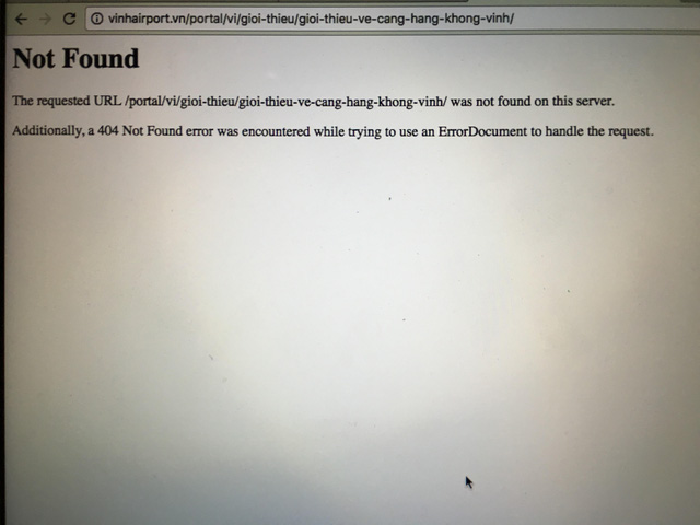 Thêm nhiều website sân bay bị tin tặc tấn công - 1