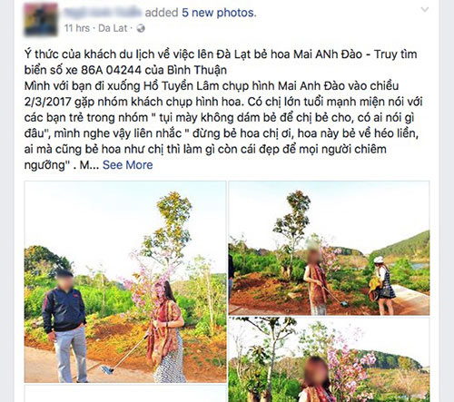 Thông tin mới nhất vụ nữ PGĐ Sở bị tố bẻ hoa anh đào - 2