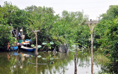Người đàn ông bỏ bạc triệu thuê ốc đảo giữa Sài Gòn, sống đời cô độc - 8