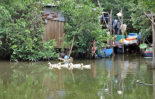Người đàn ông bỏ bạc triệu thuê ốc đảo giữa Sài Gòn, sống đời cô độc - 7