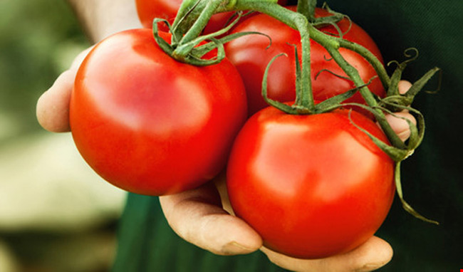 Các loại rau, củ quả màu đỏ như cà chua, lựu, củ dền, củ cải đỏ... có chứa các chất dinh dưỡng thực vật như lycopene và anthocyanins có lợi ích rất lớn đối với sức khỏe.
