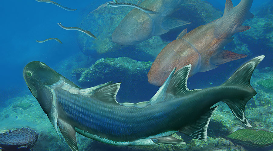 Tìm thấy hóa thạch cá &#34;bọc thép&#34; 420 triệu năm ở TQ - 1