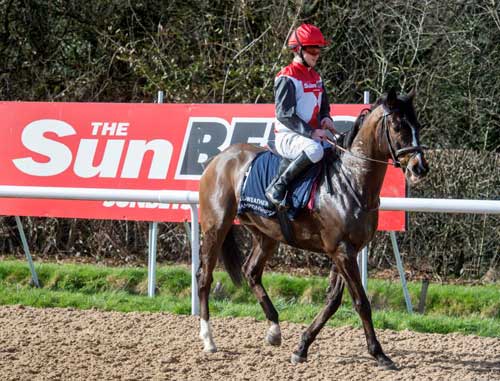 Ngã ngửa: Siêu VĐV chạy nhanh hơn cả ngựa "chiến" - 3