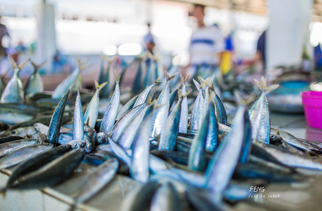 Đặc trưng của vùng biển đảo – Chợ hải sản