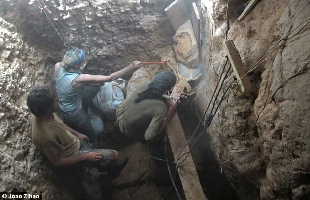 Hộp sọ 400.000 năm tuổi hé lộ bí mật tổ tiên loài người - 1
