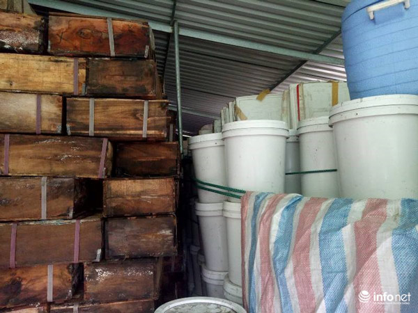 Hà Tĩnh: Gần 1.000 tấn sứa bốc mùi hôi thối nhưng chưa thể tiêu hủy - 3
