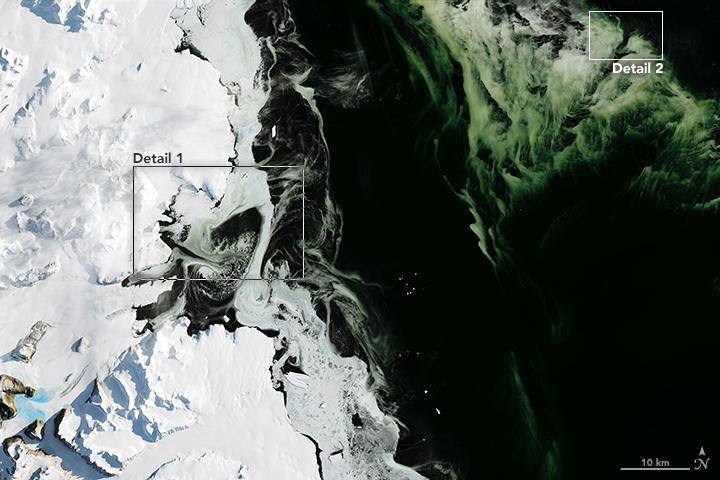 Phát hiện tảng băng xanh lá khổng lồ tiến về phía Nam Cực - 1