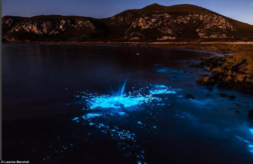 Nước biển phát sáng xanh lè bí ẩn ở Australia - 1
