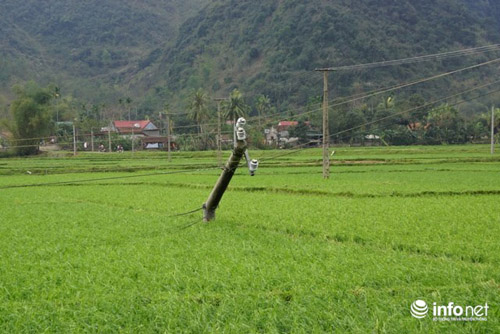 Thanh Hóa tan hoang sau trận mưa đá dày đặc hiếm thấy - 6