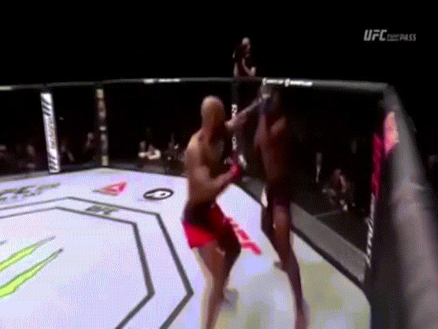 UFC: 