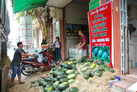 Chàng rể Cần Thơ “giải cứu” 20 tấn dưa hấu quê vợ - 1