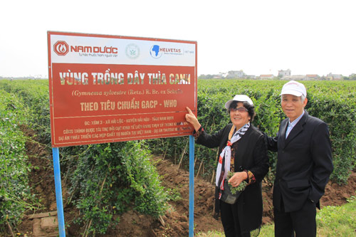 Tin vui cho người tiểu đường kèm huyết áp cao - 1