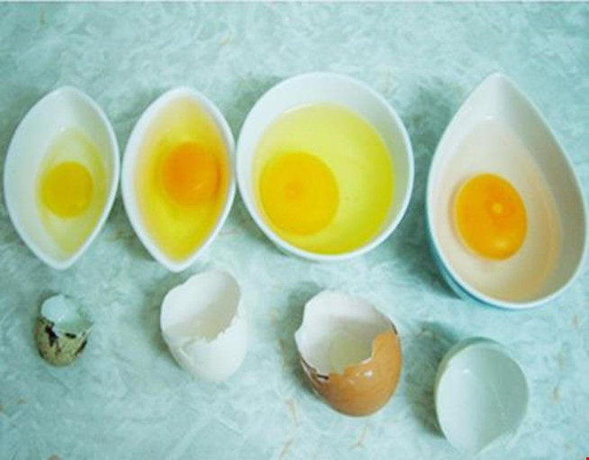 Những điều hữu ích nhất định phải biết khi ăn trứng - 3