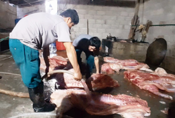 Phát hiện cơ sở thu mua lợn chết về làm đặc sản - 2