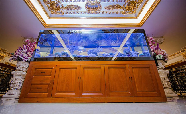 Bể cá phong thủy được đặt tại một vị trí trung tâm của căn nhà.