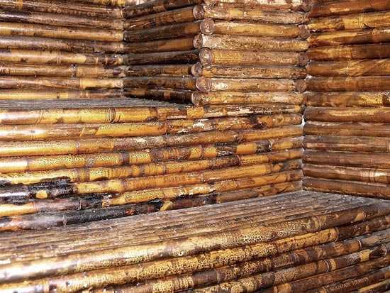 Nhà cấp 4 làm từ giấy báo trăm năm không mục nát - 6