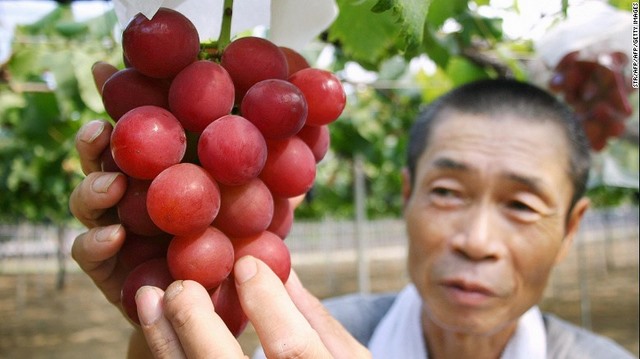 Dưa hấu 600 triệu đồng/cặp, nho 200 triệu/chùm ở Nhật Bản - 4