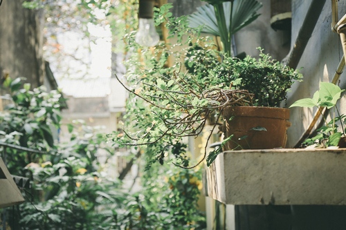 Căn nhà 125 triệu/m2 của gã đầu gấu đào hoa "Cảnh sát hình sự" - 15