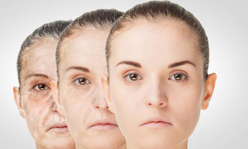 Top 15 phát minh "kỳ lạ" sẽ xuất hiện trong năm 2017 (Phần 2) - 4