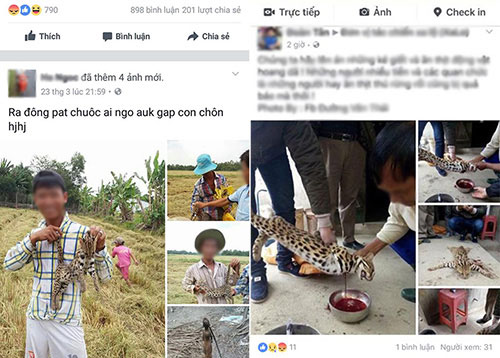 Xẻ thịt mèo đăng Facebook: Tổ chức Động vật châu Á lên tiếng - 1