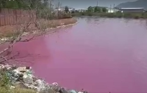 Kỳ lạ hồ nước chuyển màu hồng, bốc mùi hôi thối - 1