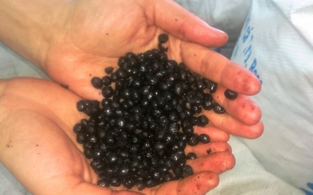 Hơn nửa tạ cà phê làm từ đậu nành rang cháy chở về Nghệ An tiêu thụ - 1