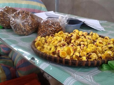 Dân đổ xô vào rừng đào gốc trà hoa vàng để bán - 2