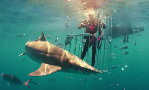 Video đập hộp Samsung Galaxy S8 ngay trước hàm cá mập - 1