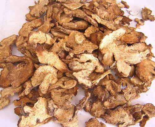 Tiêu chảy hay táo bón cũng bị đánh bay với loài cây kỳ diệu này! - 1