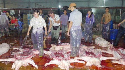 Cục Thú y nói gì về 40% mẫu thịt lợn nhiễm khuẩn tiêu chảy? - 1