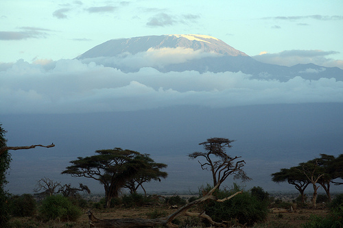 Kilimanjaro, người khổng lồ của Châu Phi - 1