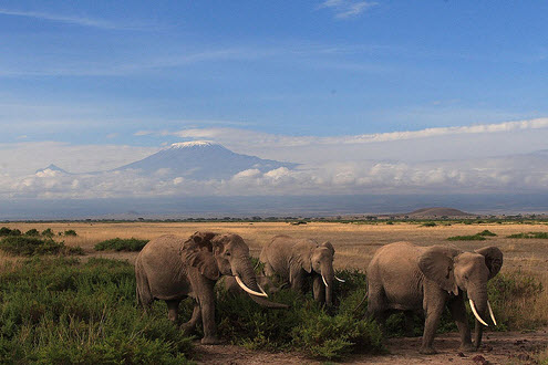Kilimanjaro, người khổng lồ của Châu Phi - 3