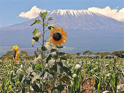 Kilimanjaro, người khổng lồ của Châu Phi - 5