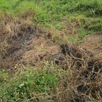 Tin tức trong ngày - Tự thiêu, gọi bạn trai đến nhận xác