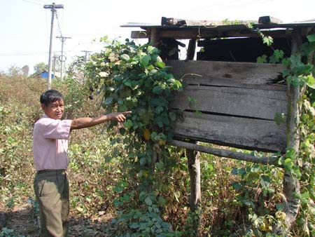 Bí ẩn hòn đá biết "đẻ" ở Kon Tum - 2