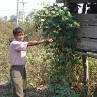 Tin tức trong ngày - Bí ẩn hòn đá biết "đẻ" ở Kon Tum