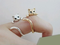 Nhẫn cũng đáng yêu như... mèo - 7