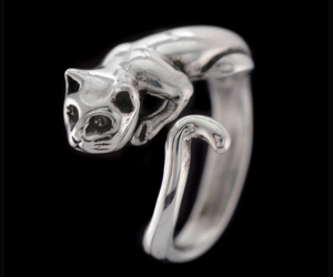 Nhẫn cũng đáng yêu như... mèo - 16