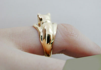 Nhẫn cũng đáng yêu như... mèo - 25