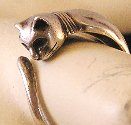 Nhẫn cũng đáng yêu như... mèo - 27