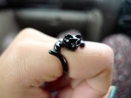 Nhẫn cũng đáng yêu như... mèo - 30