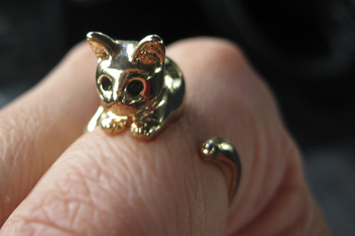 Nhẫn cũng đáng yêu như... mèo - 44