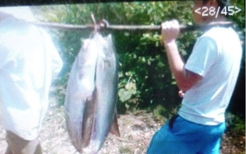 Nghi vấn vụ thả thịt bò luộc xuống hồ - 2