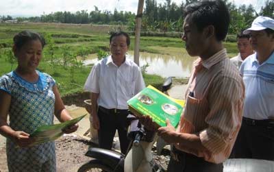 TP HCM: Khó dập TCM vì dân nhập đông - 2