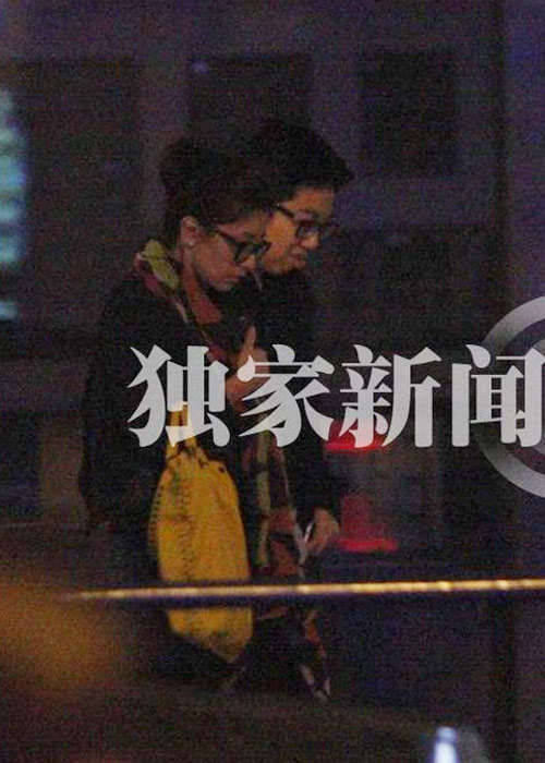 Giả Tịnh Văn lại dính scandal đồng tính - 10